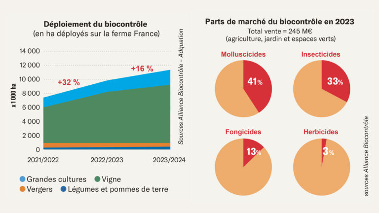 Biocontrôle : plus 50 % de surfaces traitées en deux ans
