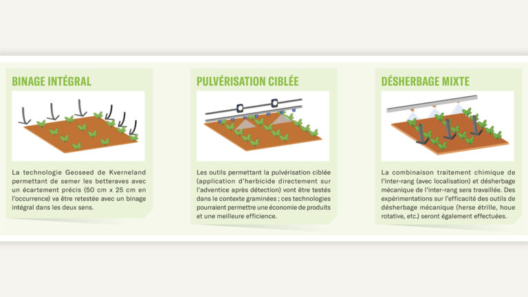 Top départ des expérimentations de solutions alternatives en désherbage des graminées !