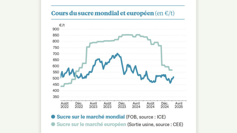 Sucre : Quelle disponibilité dans l’Union l’an prochain ?