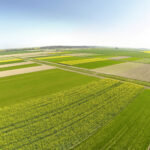 Combiner stockage de carbone et réduction d’émissions de GES ? Résultats d’un cas d’étude