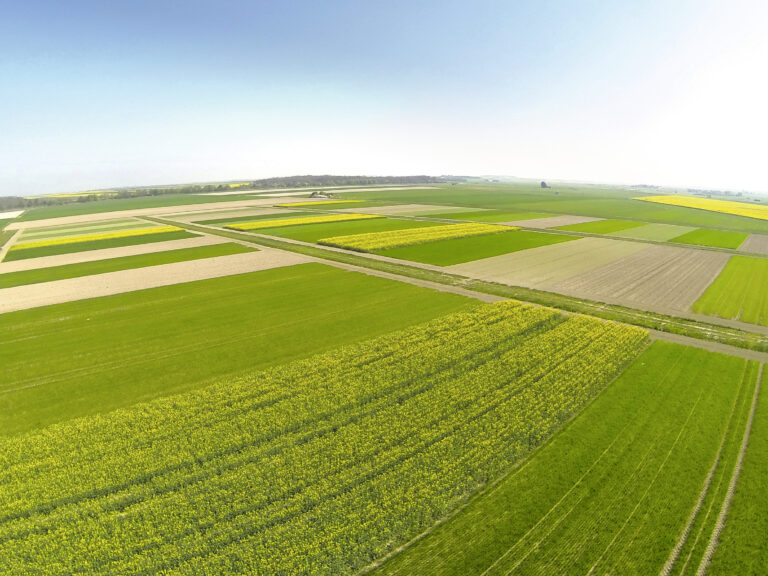 Combiner stockage de carbone et réduction d’émissions de GES ? Résultats d’un cas d’étude