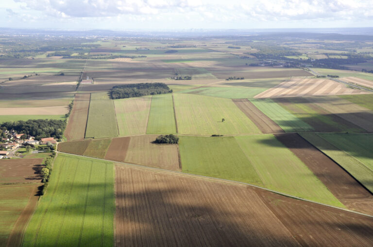 La place de la betterave dans les successions culturales