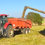 Planète chanvre veut tripler sa capacité de production