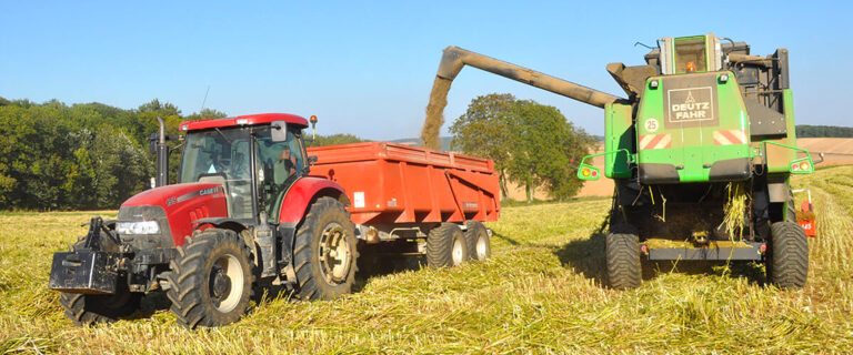 Planète chanvre veut tripler sa capacité de production