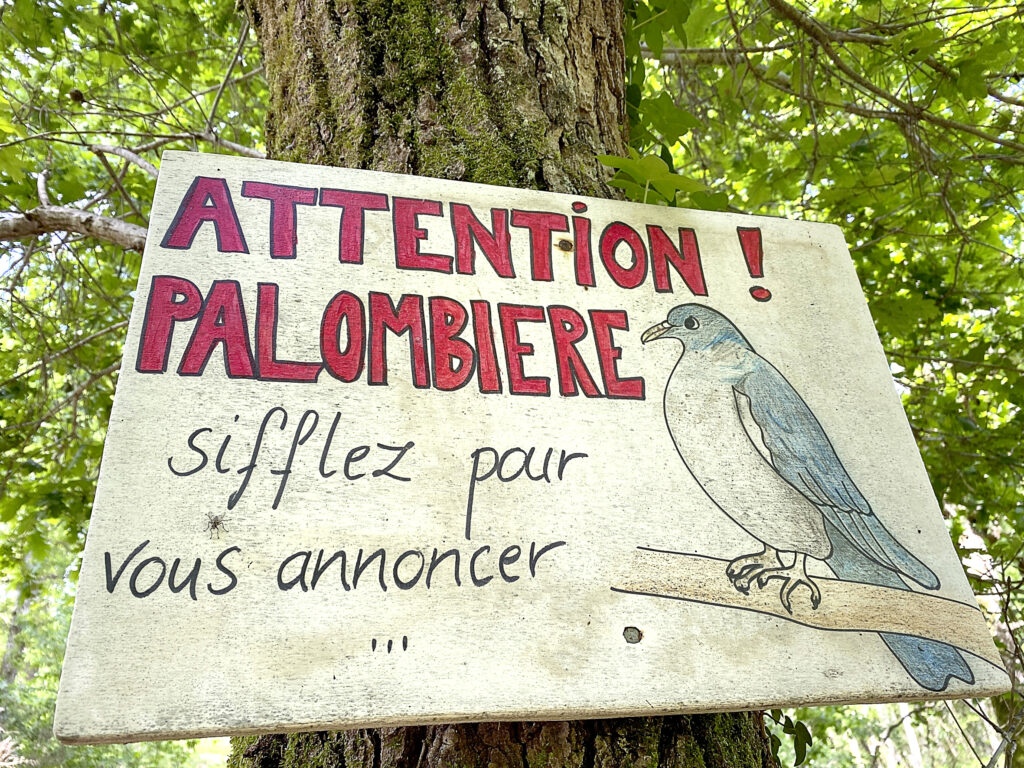 Europe vs Paloumayres - News Directory 3