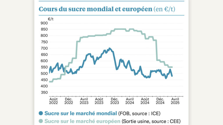 Sucre : une volatilité rare