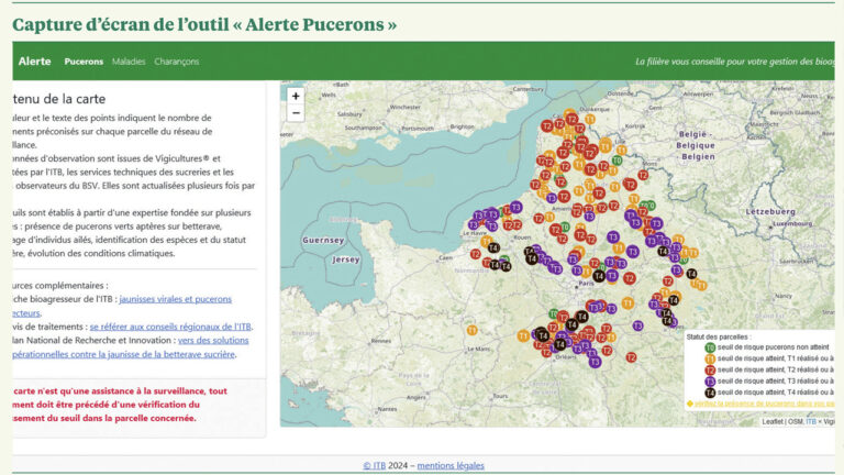 Soyez prêts pour l’arrivée des pucerons en 2025