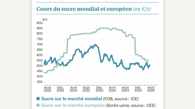 Le sucre brut franchira-t-il les 20 cts/lb ?