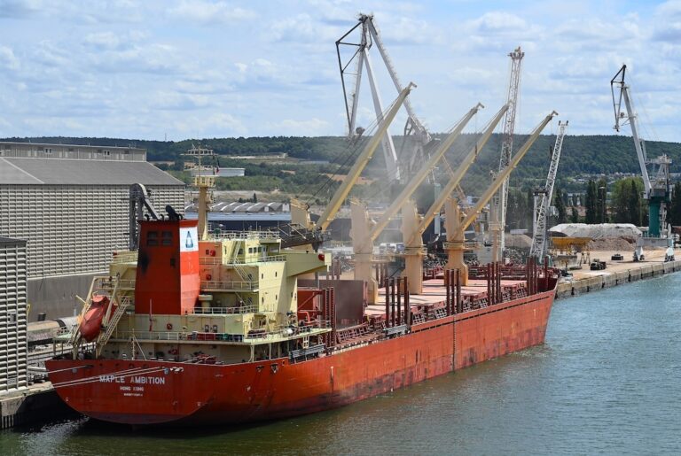 Céréales : Des échanges mondiaux en baisse et repris en main