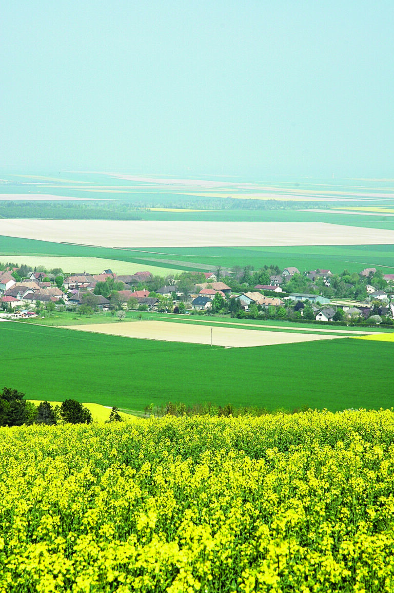 Les règles à respecter pour mettre à disposition ses baux