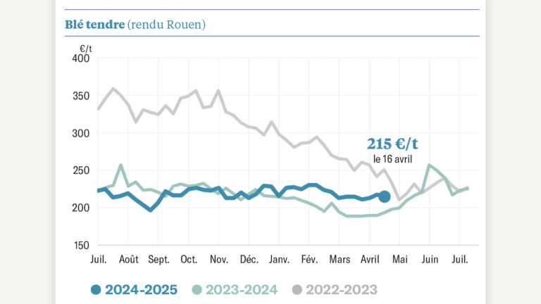 Le blé et le maïs pris en otages