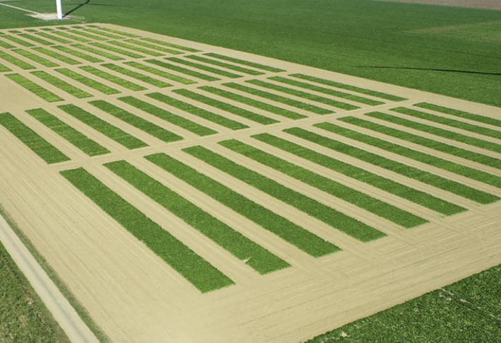 Les expérimentations régionales de l’ITB en 2025