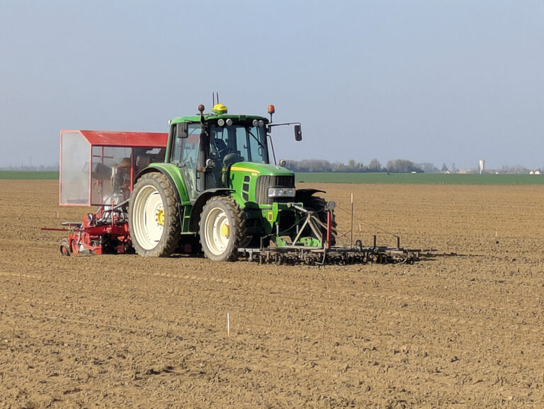 Bilan des semis 2025