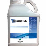 Airone SC obtient une nouvelle dérogation sur betterave