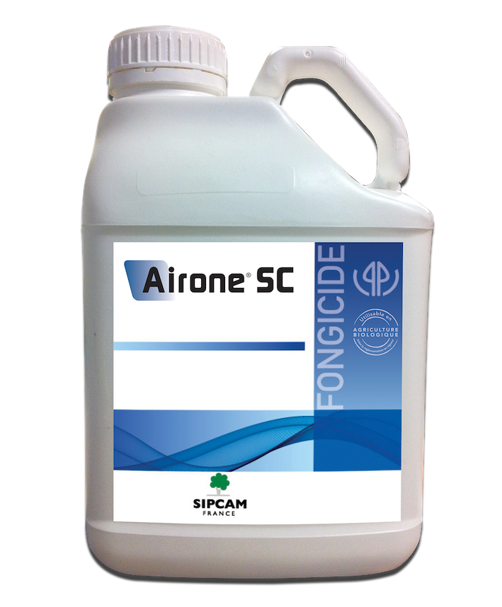 Airone SC obtient une nouvelle dérogation sur betterave