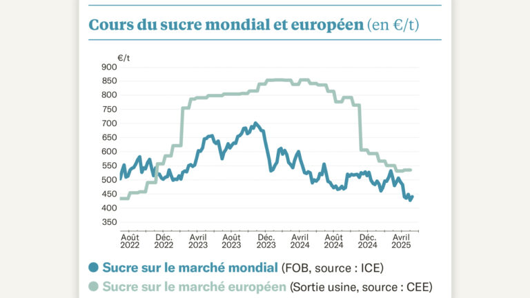 Le marché garde le cap