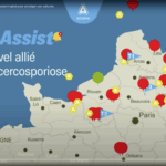 Adama lance CercoAssist, son OAD contre la cercosporiose 1 Adama lance CercoAssist, son OAD contre la cercosporiose