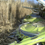 Le miscanthus se dote d'une interprofession 1 Le miscanthus se dote d'une interprofession