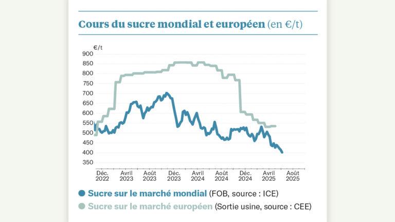 Les spéculateurs attaquent le marché