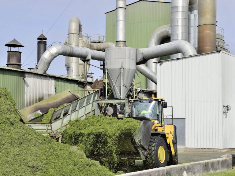 Tereos et Capdéa fusionnent leurs activités pulpe et luzerne