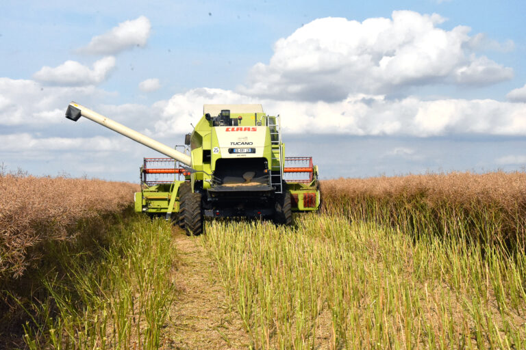 Terres Inovia ajuste ses recommandations face aux ravageurs