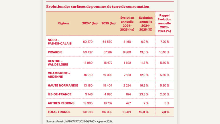 Les surfaces de pommes de terre continuent leur croissance