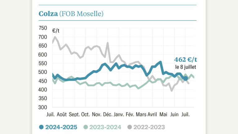 Les prix se tassent avec les nouvelles récoltes