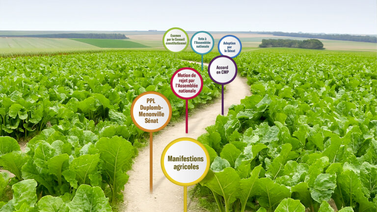 Une loi pour redonner les moyens de produire