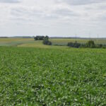 Une loi qui répond enfin aux principales attentes, selon les syndicats agricoles