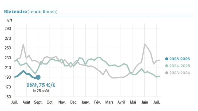 Le maïs américain plombe les prix
