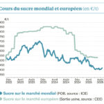 Le marché mondial se cherche