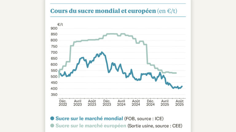 Le marché mondial se cherche