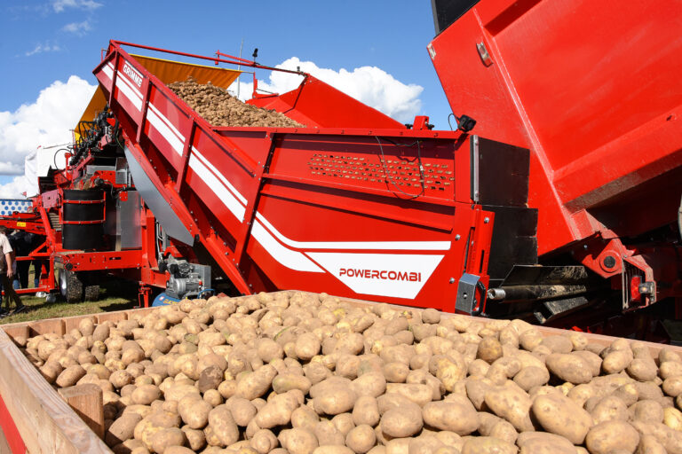 La filière en a gros sur la patate