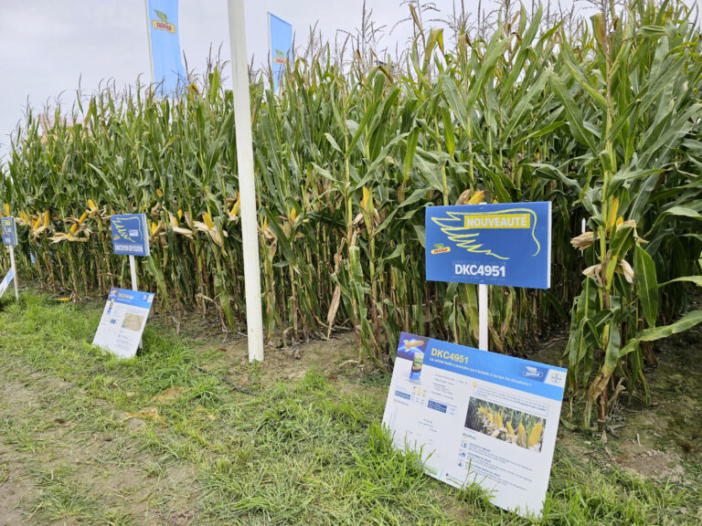 Bayer dévoile ses innovations maïs