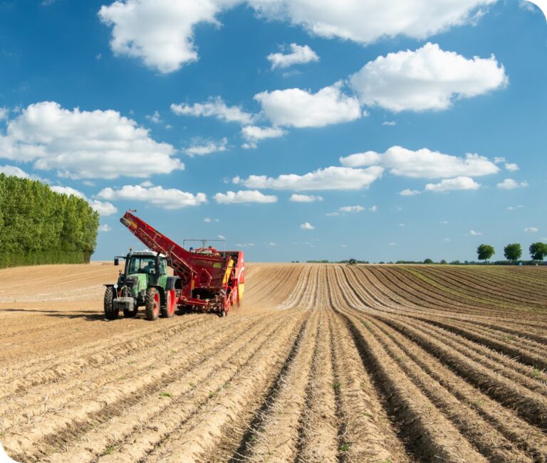 Prix des contrats en baisse : le PDG de Mousline s’explique
