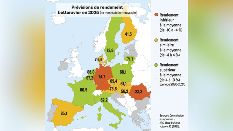 Les rendements corrects ne compenseront pas la baisse des surfaces