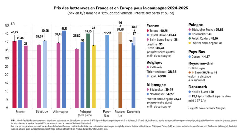 Comparez le prix des betteraves en France et en Europe