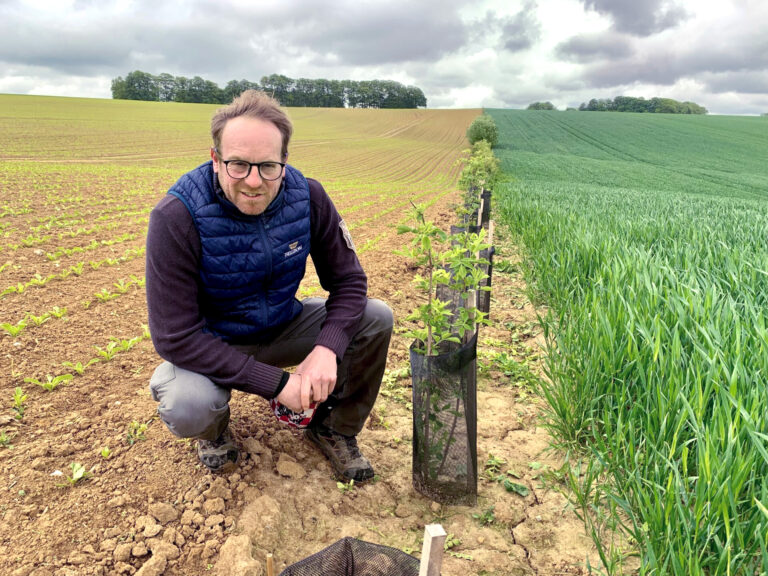 Pionnier en agroforesterie