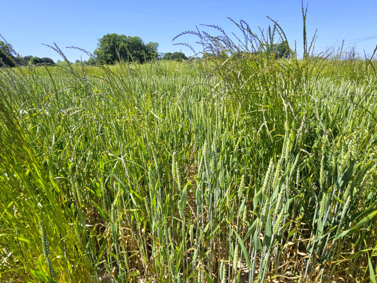 Transition vers une stratégie plus intégrée