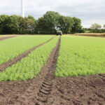 Amazone sort le grand jeu pour Agritechnica