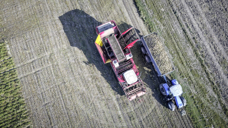 Tereos verse 800 000 € de prime filière