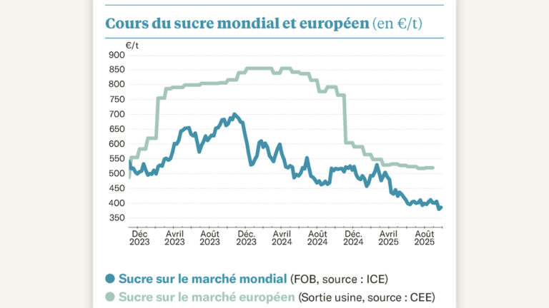 Un marché mondial en attente de la récolte indienne…