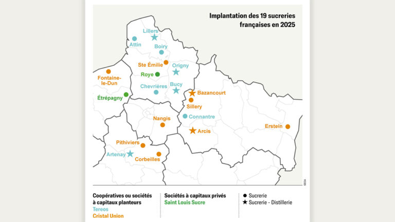 Le nouveau paysage sucrier français