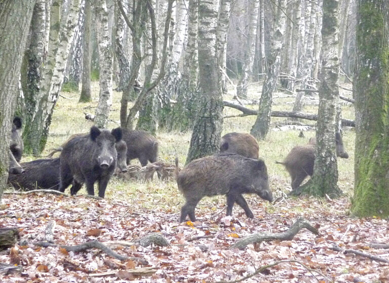 Accidents mortels en hausse