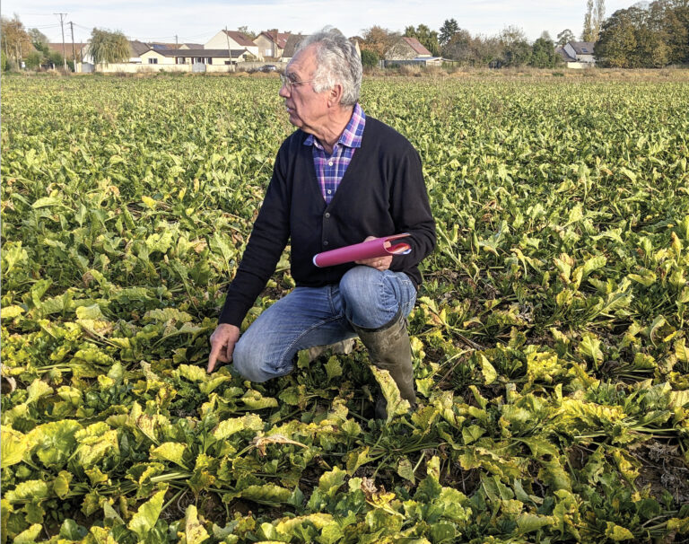 Les betteraviers exposent leurs difficultés