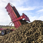 Richesse stable et rendements records