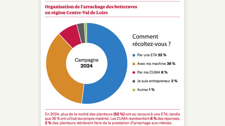 Comment arrachez-vous les betteraves ?