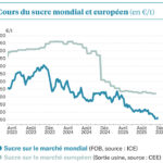 Grosse fébrilité sur les marchés