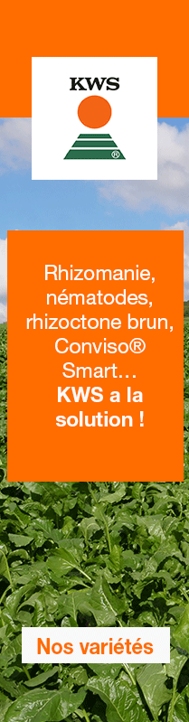 KWS