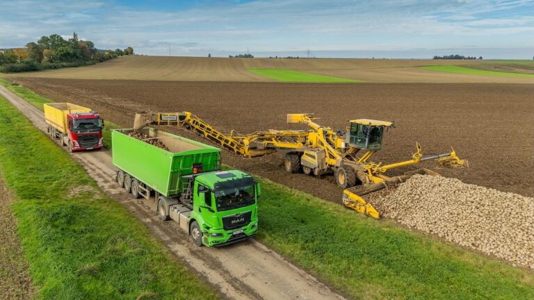 Südzucker veut baisser les surfaces de betteraves de 25 %